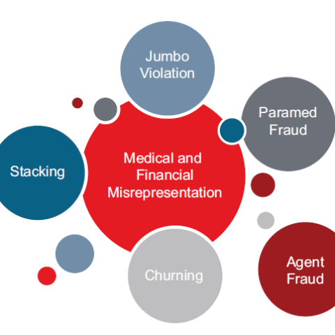 Life Insurance Frauds.How we can prevent them.